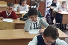 e120ba0a-5238-44b6-92d1-c45c35251505