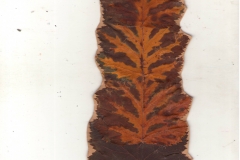 урусов али 1б